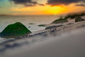 Rotsen op het strand I van Wim van Beelen