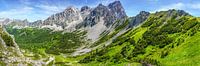 Bergpanorama "Sulzenschneid" von Coen Weesjes Miniaturansicht
