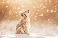 Schneeleopard im Wintersonnenlicht