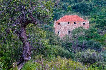 ALBENGA VILLA FORTEZZA LA COLOMBERA LA MAISON ROSE DANS LE BOIS par Enrico Pelos sur Enrico Pelos