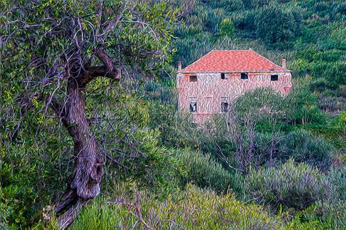 ALBENGA VILLA FORTEZZA LA COLOMBERA DAS PINKENHAUS IM WALD von Enrico Pelos
