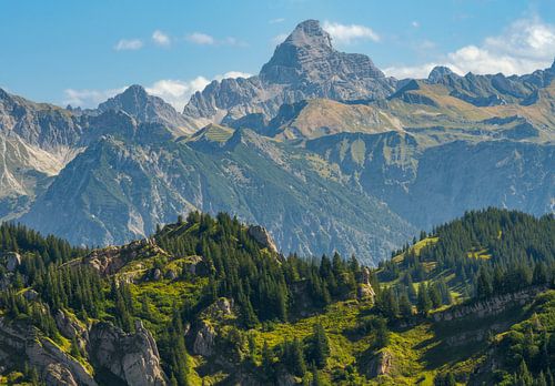Bergpanorama in de Allgäu, uitzicht vanaf Hochgrat