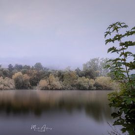 Fog over the Main by Marita Autering