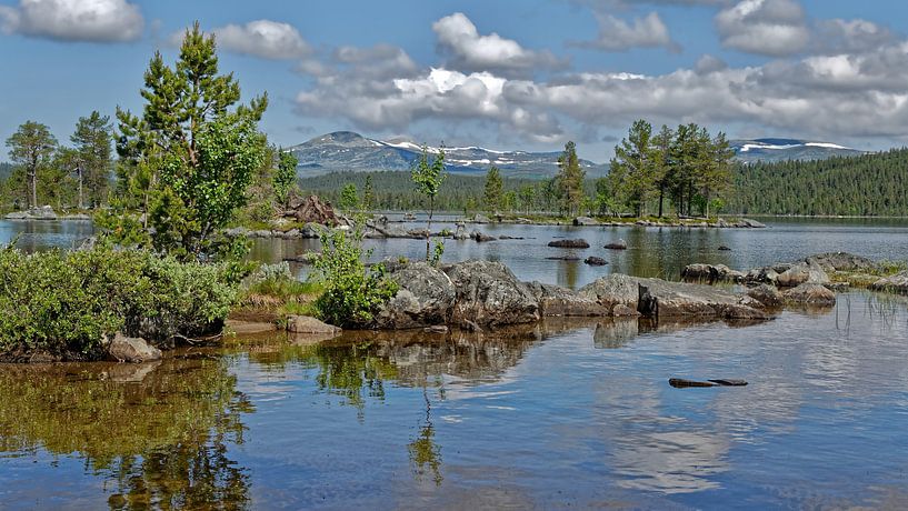 Norwegen. Naturreservat Gutulia. par Michael Schreier
