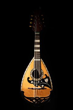 Neapolitan mandolin against black background by Werner Lerooy