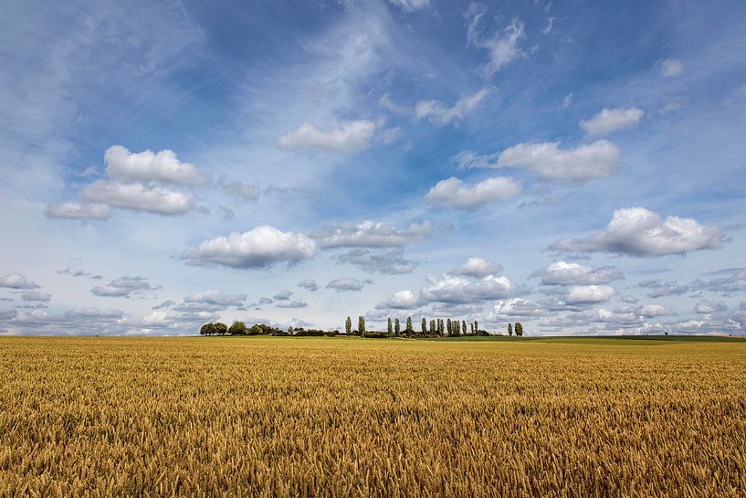 Little Tuscany by Rob Boon