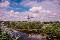 Windmolens aan de Kinderdijk. van Brian Morgan thumbnail