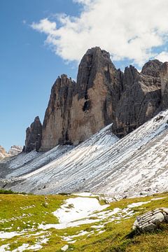 Les Alpes - sauvages, calmes, puissantes et délicates à la fois ️✨ Chaque facette raconte une histoire de nature, de lumière et de vie. sur Miriam Schwarzfischer Fotografie