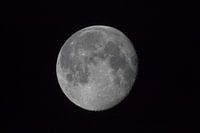 Mond