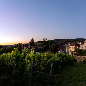 Panorama of Arbois with church and vineyard by Daan Kloeg
