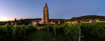 Panorama von Arbois mit Kirche und Weinberg