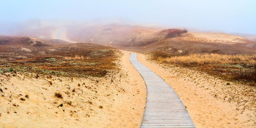 Chemin en bois dans les Dunes grises par Yevgen Belich