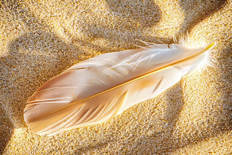Weißer Frühling am Sandstrand von Art & Soul Creations