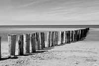 Poteaux de plage à Schouwen