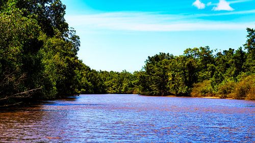 Rivier bij plantage Bakkie in Suriname