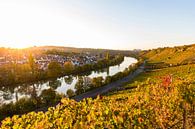 Wijngaarden aan de Neckar in Stuttgart van Werner Dieterich thumbnail