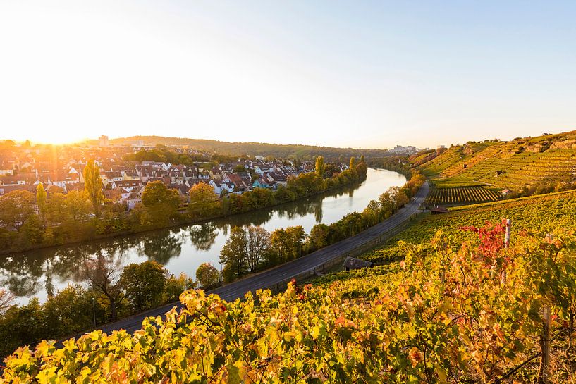 Wijngaarden aan de Neckar in Stuttgart van Werner Dieterich