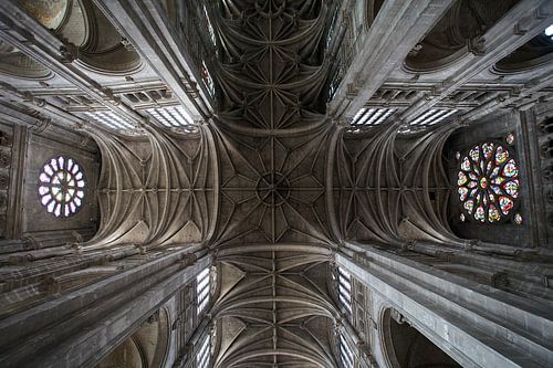 Magisterial church ceiling