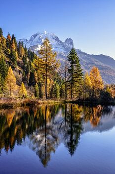 Automne au Mont-Blanc, Chamonix, France