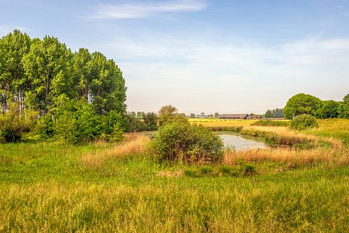 View from the Zeedijk, Elshout (municipality of Heusden)