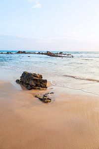 Mirissa Beach
