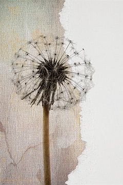 Moderne collage van een Dandelion, uitgebloeide paardenbloem van Studio Pieternel