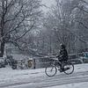 Amsterdam cyclist in the snow by Toon van den Einde