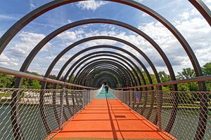 Slinky Springs To Fame (7-13993)
