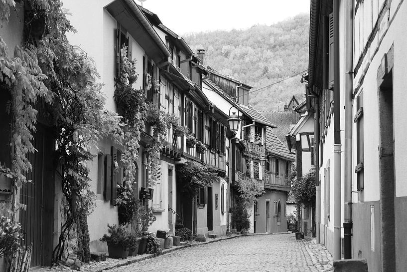 Quaint Street, Kaysersberg, Alsace, France by Imladris Images