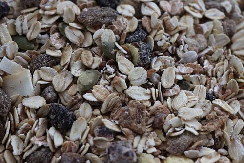 An Ode to the Morning