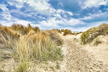 Dune overlooking the North Sea by eric van der eijk