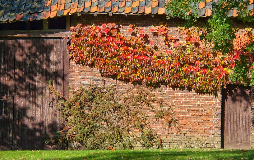 Une splendeur colorée par Natuurpracht   Kees Doornenbal