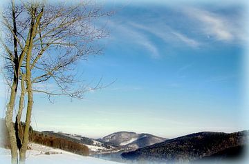 L'hiver au bord du lac