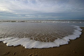 Mousse dans l'eau de mer