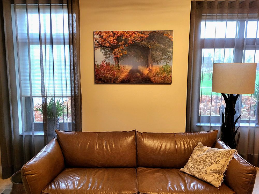 Herfst Bomenlaan Mist  van Zwoele Plaatjes 