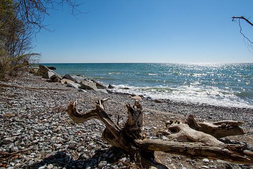 Brandung und Strandgut in der Stubbenkammer