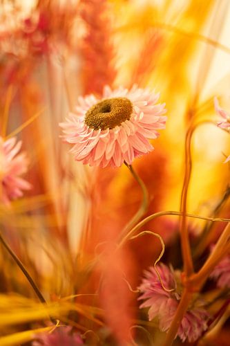 floral art