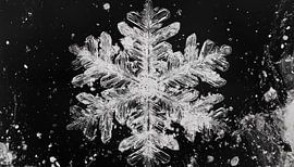 Künstlerisches Schneeflocken-Panorama von TheXclusive Art