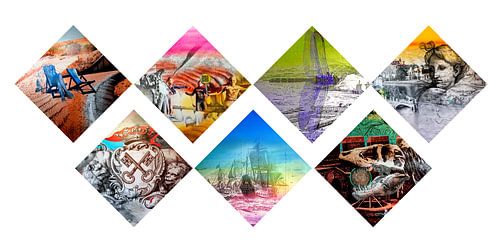 Project Plesmantunnel - Leiden van Wil Gulpen