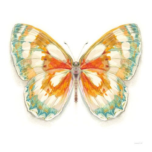 Ailes fragiles papillon II, Danhui Nai