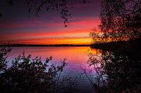 coloured morning