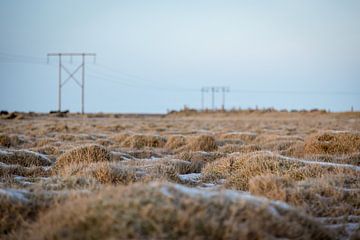 Vlakte met electriciteitsmasten