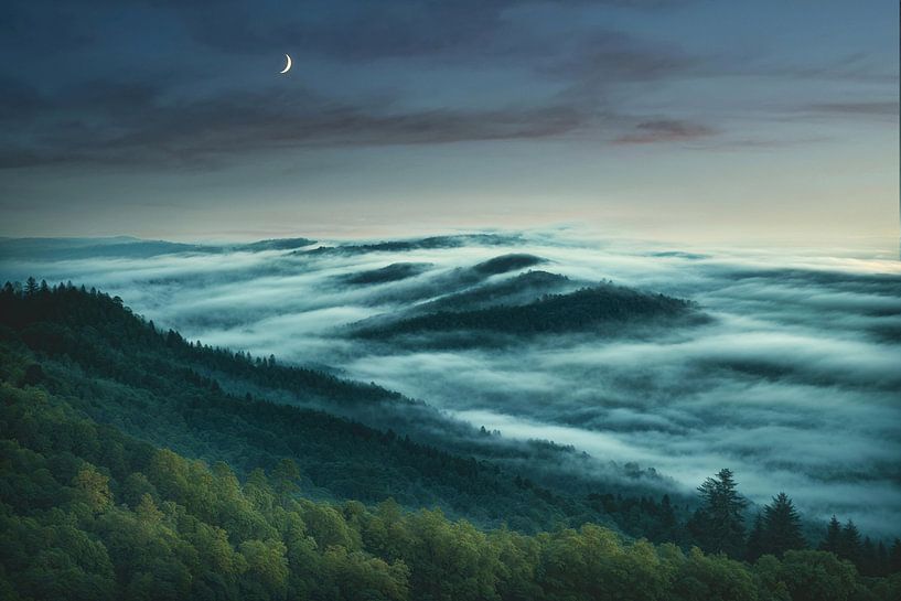 Where the Fog Dances by Arjen Roos