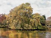 Île Willow sur l'étang de Falmer Sussex par Dorothy Berry-Lound Aperçu