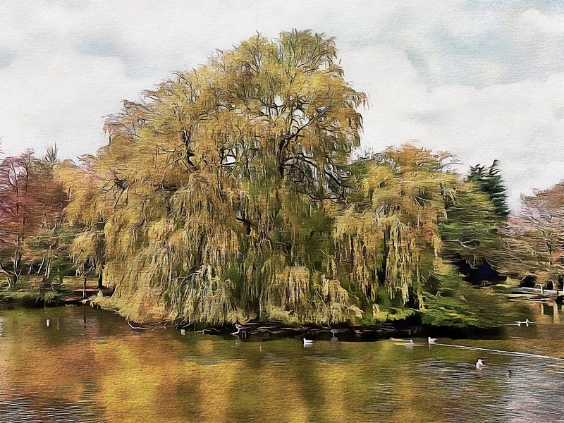 Île Willow sur l'étang de Falmer Sussex par Dorothy Berry-Lound