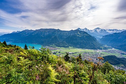 Viewpoint Lake Brienz and Interlaken