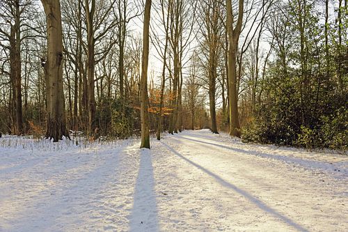Schnee im Park