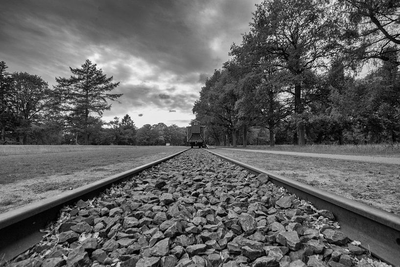 Kamp Westerbork von Peter Bartelings