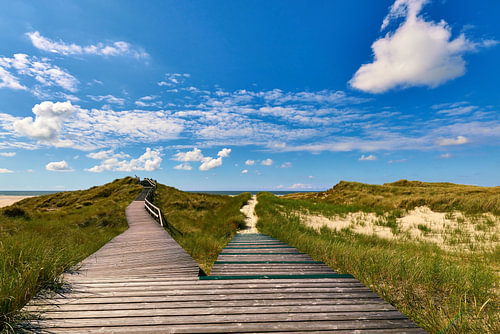 Noordzee-eiland Amrum