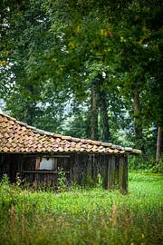 Versteckte Bauernhöfe in der Umgebung von Winterswijk (1)